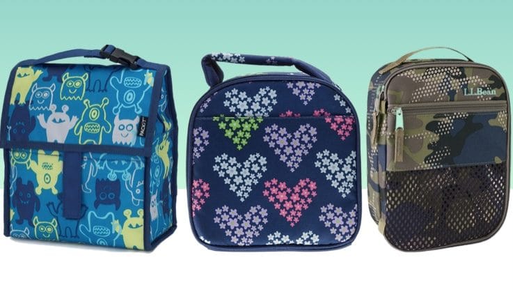 10 Top Rated Lunch Boxes For Kids 2020 - Best Kids Insulated Lunch
